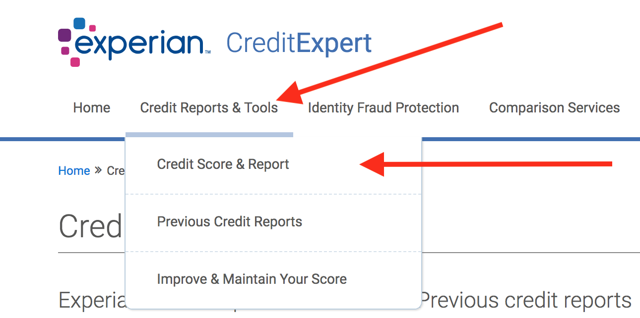 How to Download your Credit Report from Experian